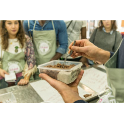 visite chocolaterie paris Rrraw