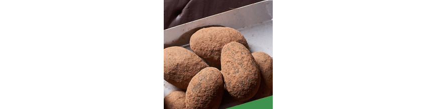 Fèves Cacao+Fruit